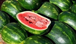 吃瓜高清视频素材免费下载,轻松捕捉精彩瞬间